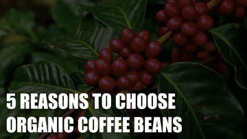 5 Reasons To Choose Organic Coffee Beans