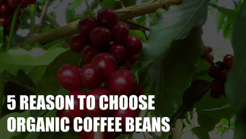 5 Reasons To Choose Organic Coffee Beans
